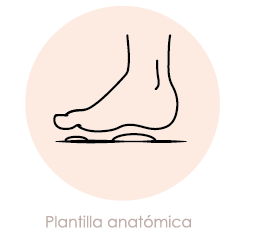 Plantilla Anatómica
